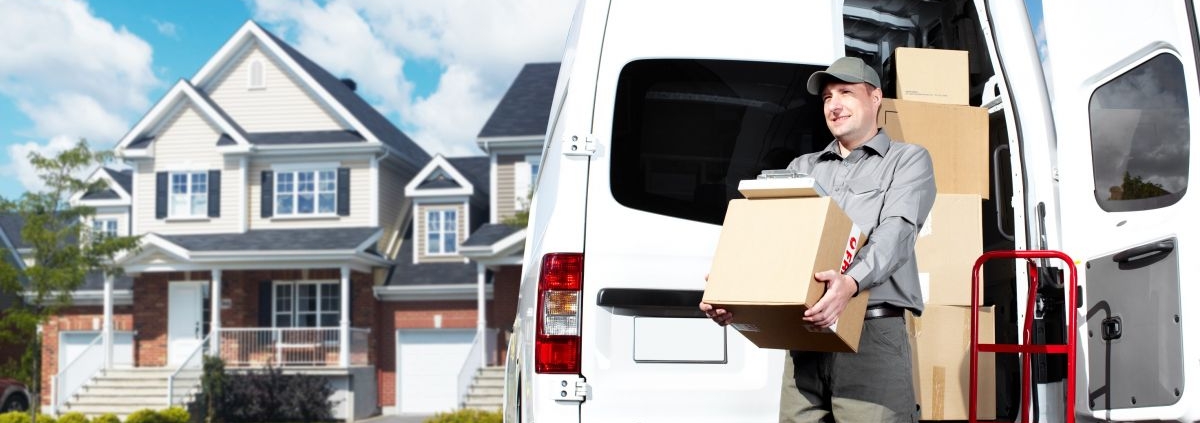 Как правильно перенести WordPress на новый домен без потери SEO 1 перенести WordPress на новый домен без потери SEO