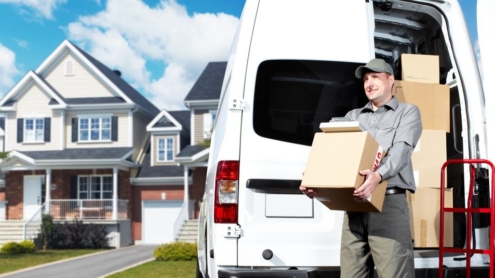 перенести WordPress на новый домен без потери SEO