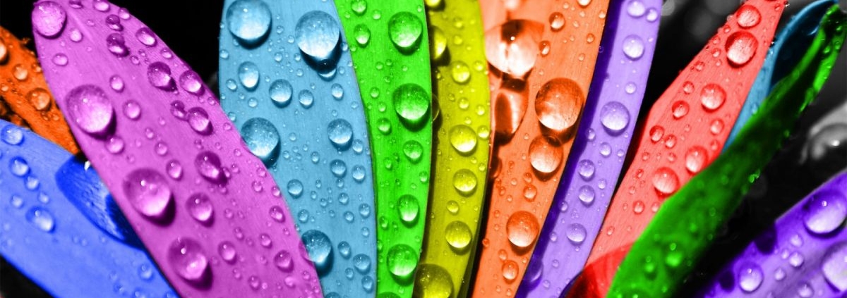 Как сделать текстовые виджеты в WordPress более красочным 1 colorful_flower-wallpaper