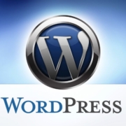 запуск-сайта-на-WordPress-1