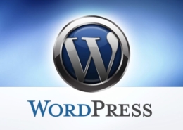 запуск-сайта-на-WordPress-1