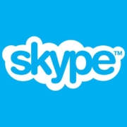 Как добавить кнопку поделиться в Скайпе на WordPress 47 skype-logo