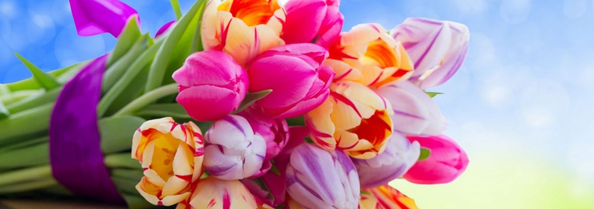 Как избежать потери цвета и насыщенности изображений в WordPress 1 wallpapers-flowers-3