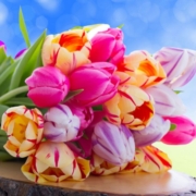 wallpapers-flowers-3