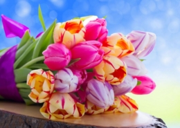 wallpapers-flowers-3