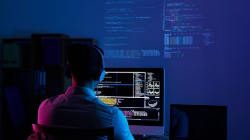 Five tips to choose the right WordPress developer 4 Five tips to choose the right WordPress developer 4