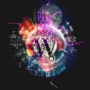 Последние интересные факты о WordPress 2