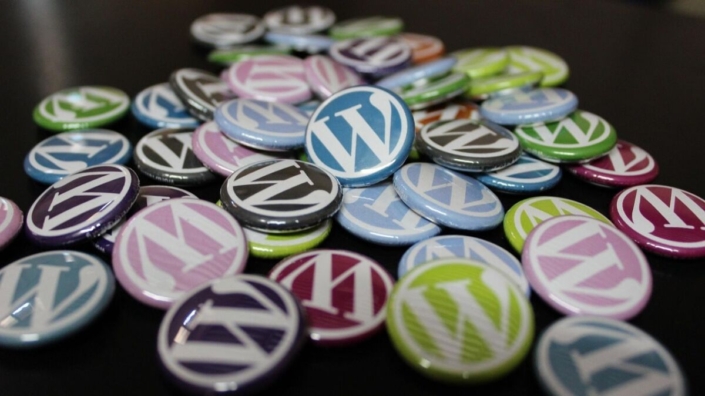 Get into WordPress terms 11