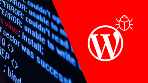 malware-wordpress-main