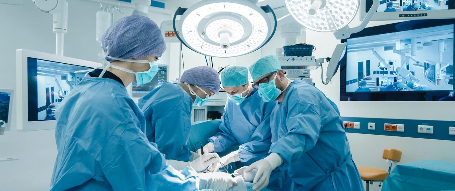 Разработка и поддержка сайтов компании Elvim 1 Разработка и поддержка сайтов компании Elvim 1