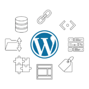 Знакомимся с терминами WordPress 9