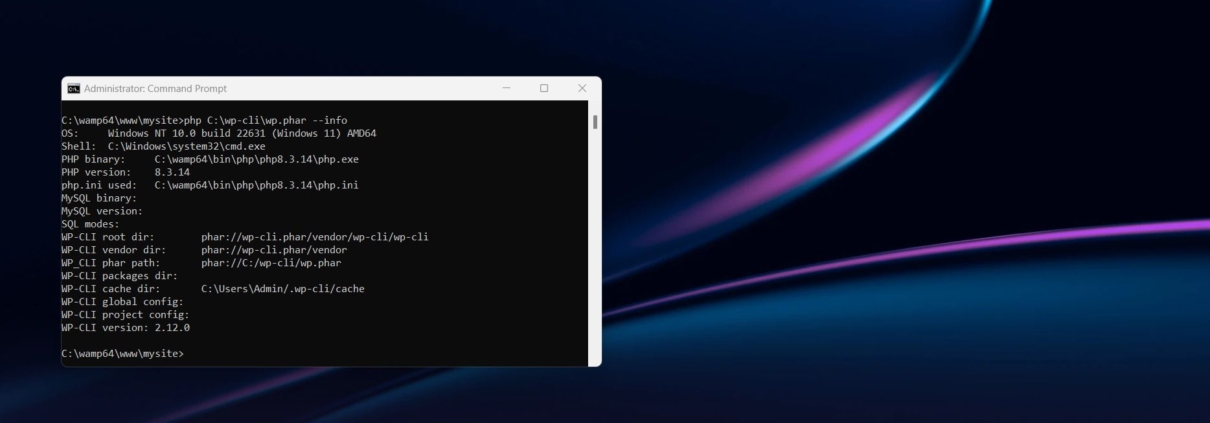 Kā izmantot WP-CLI, lai pārvaldītu WordPress 1 Kā izmantot WP-CLI, lai pārvaldītu WordPress 1