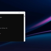 Как использовать WP-CLI для управления WordPress 1
