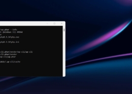 Как использовать WP-CLI для управления WordPress 17