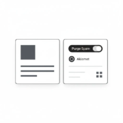 Как изменить расписание удаления спама в Akismet 6