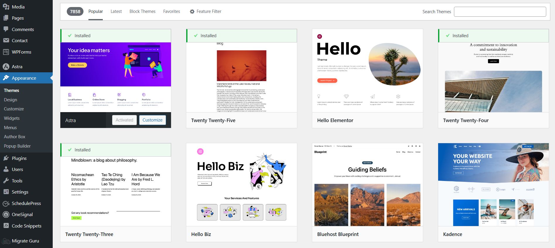 Платные или бесплатные шаблоны WordPress: преимущества и недостатки 2 WordPress